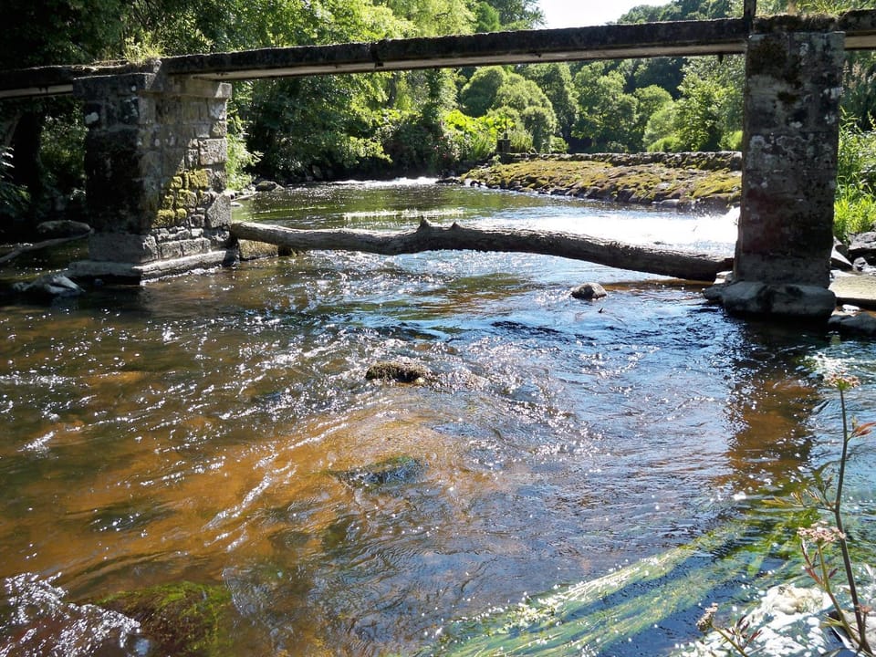 Natural landscape, Hiking, River view