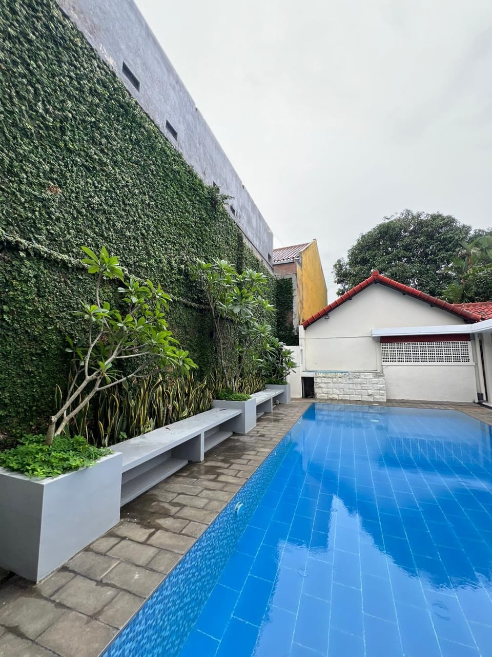 Property building, Day, Natural landscape, Pool view, Swimming pool