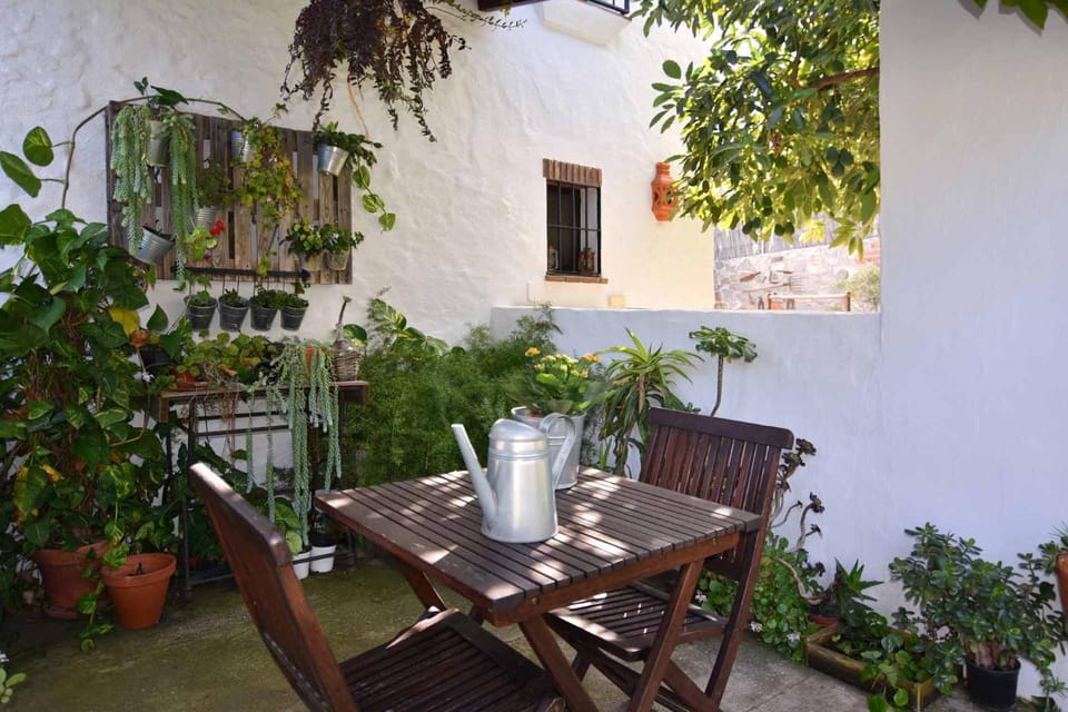 Patio, Garden, Garden view