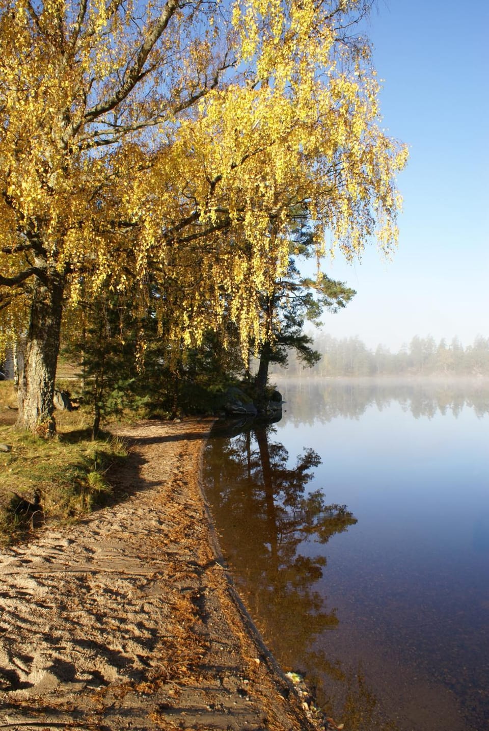 Beach, Lake view