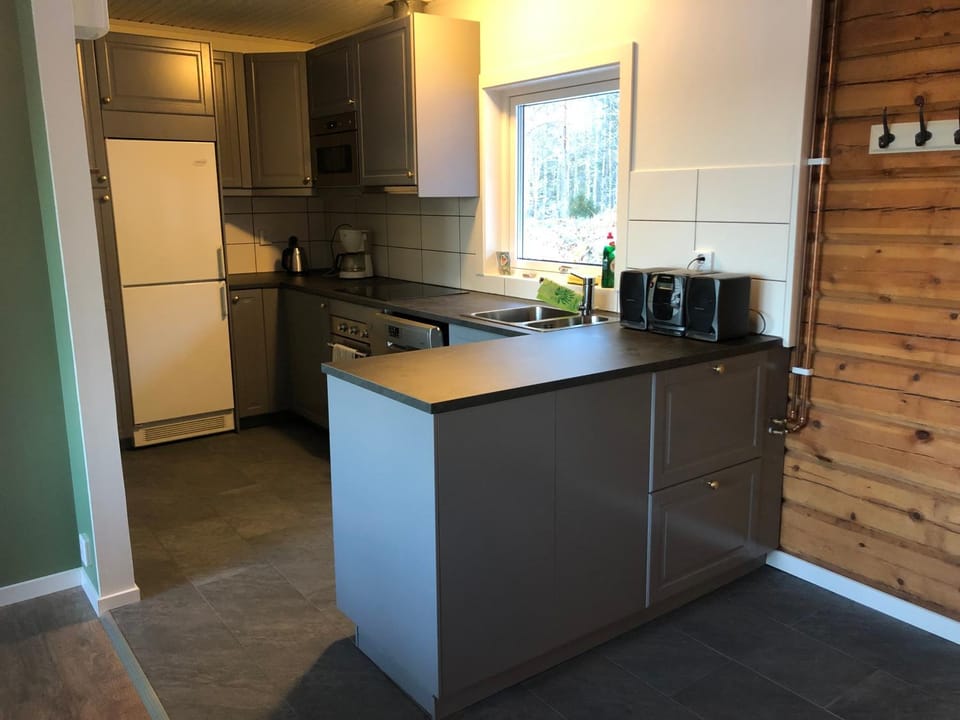Kitchen or kitchenette, dishwasher, minibar, pet friendly, stove