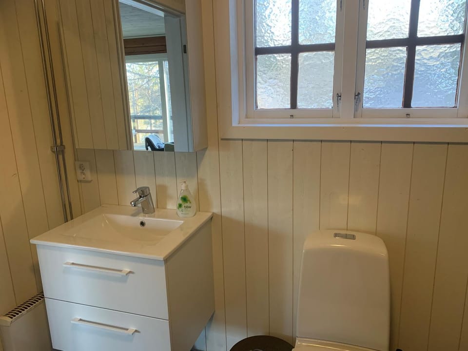 Toilet, Bathroom