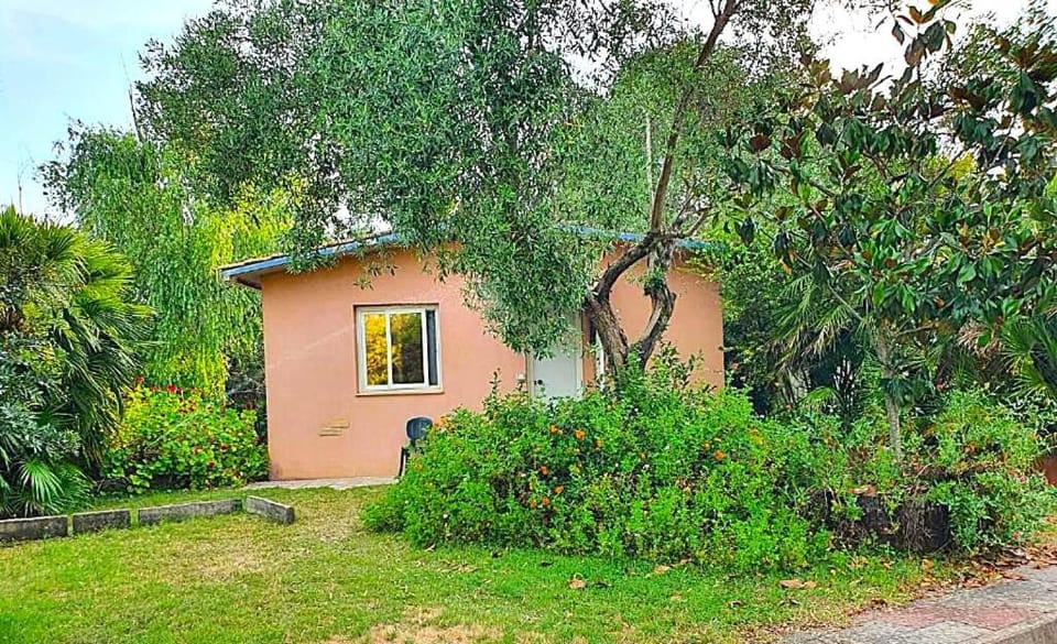 Property building, Natural landscape, Garden, Garden view