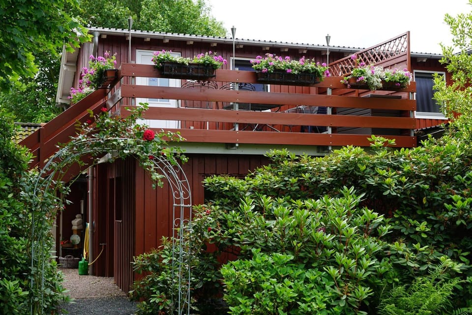 Property building, Summer