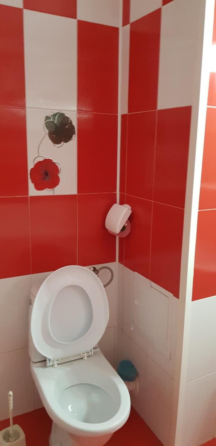 Casa Rodica Bed and Breakfast in Eforie Nord