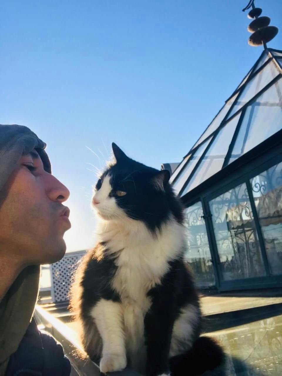 Pets