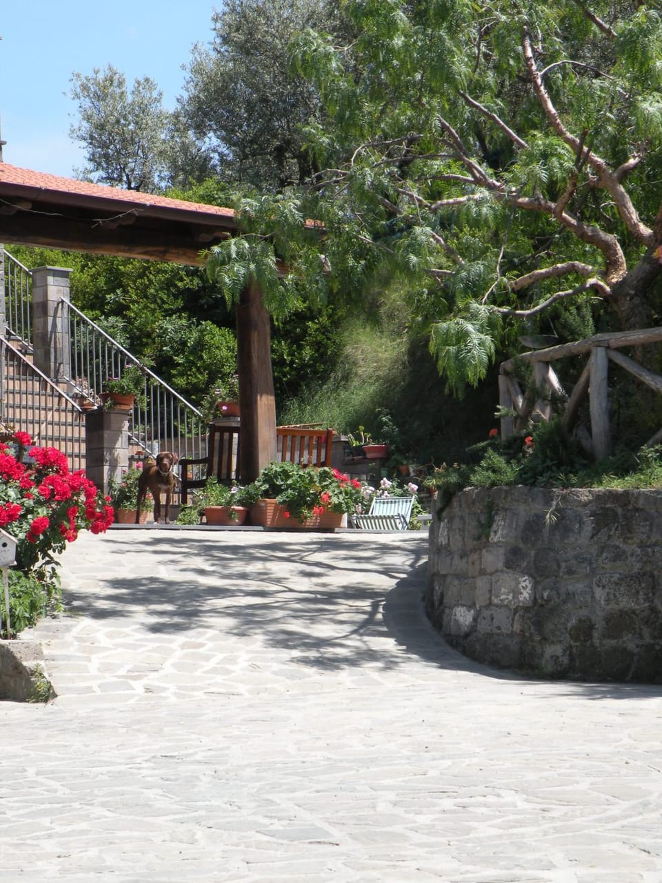 Patio, Facade/entrance, Garden