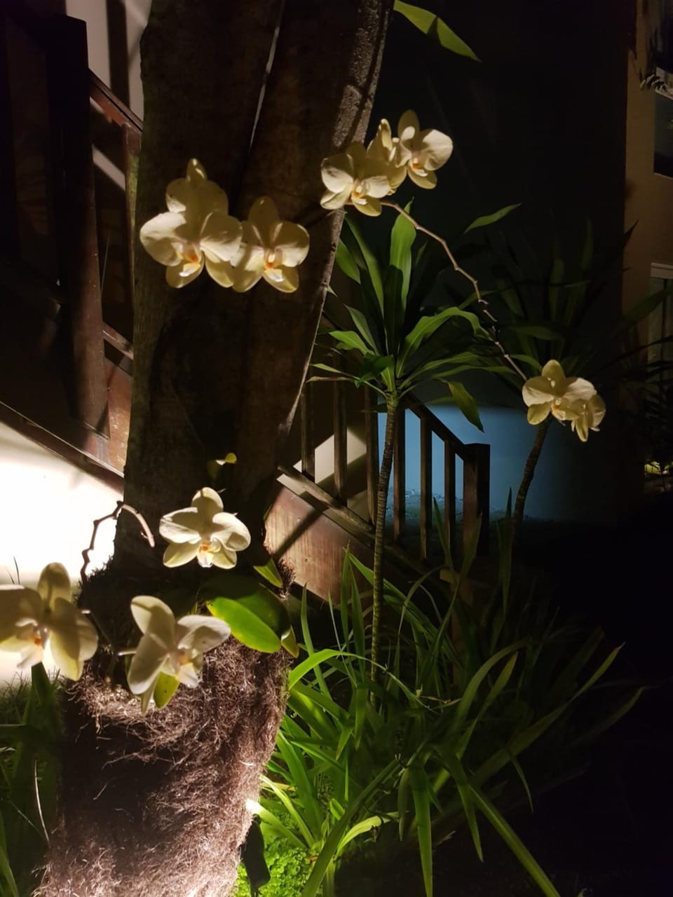 Night, On site