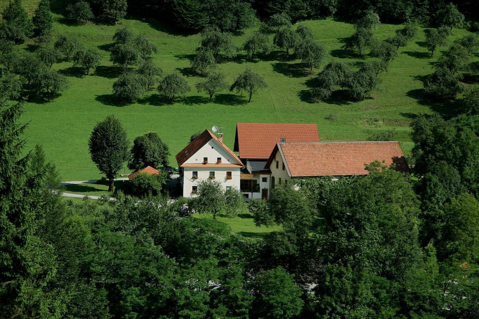 Bird's eye view, View (from property/room)