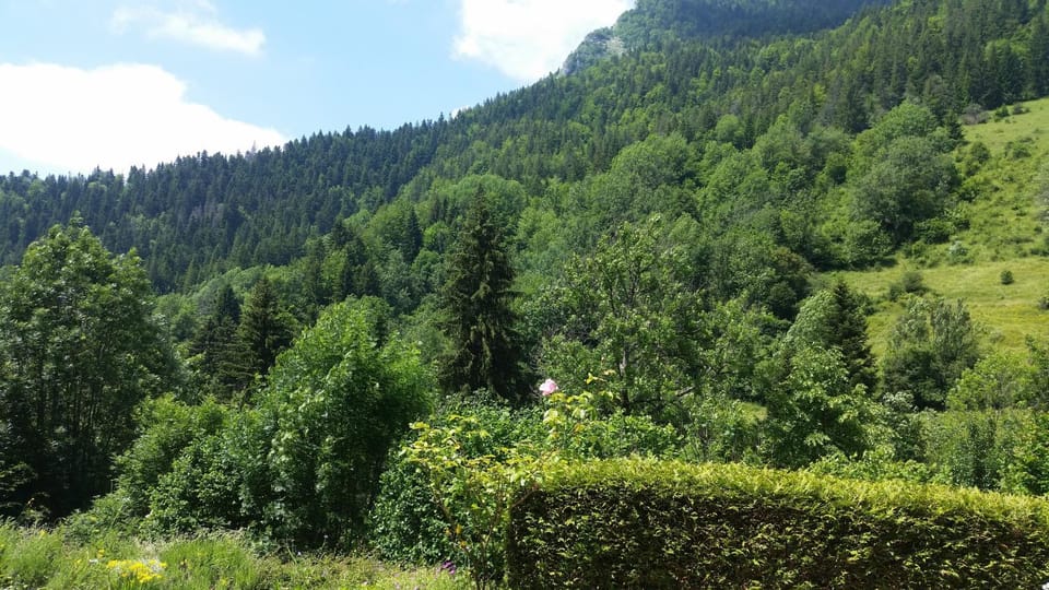 La cime des sapins Chalet in Auvergne-Rhône-Alpes
