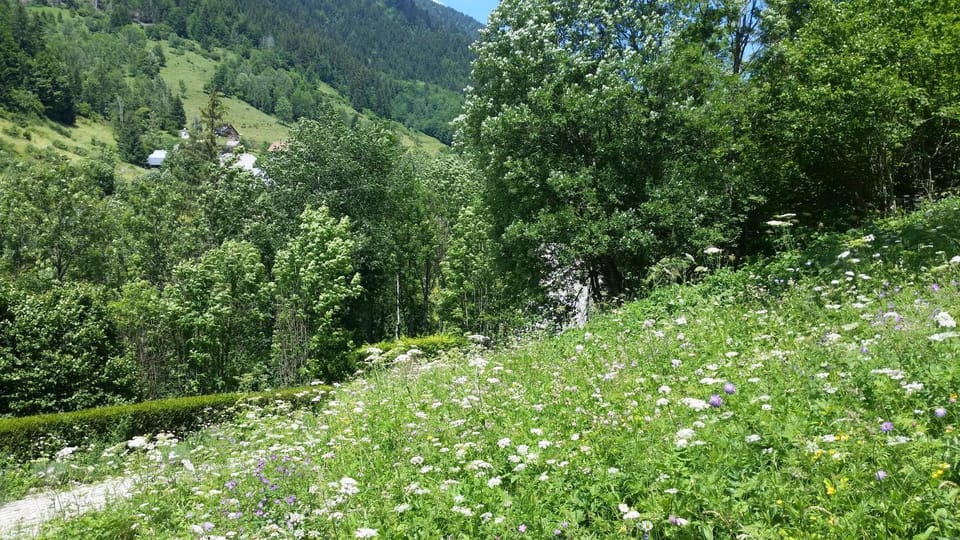 La cime des sapins Chalet in Auvergne-Rhône-Alpes