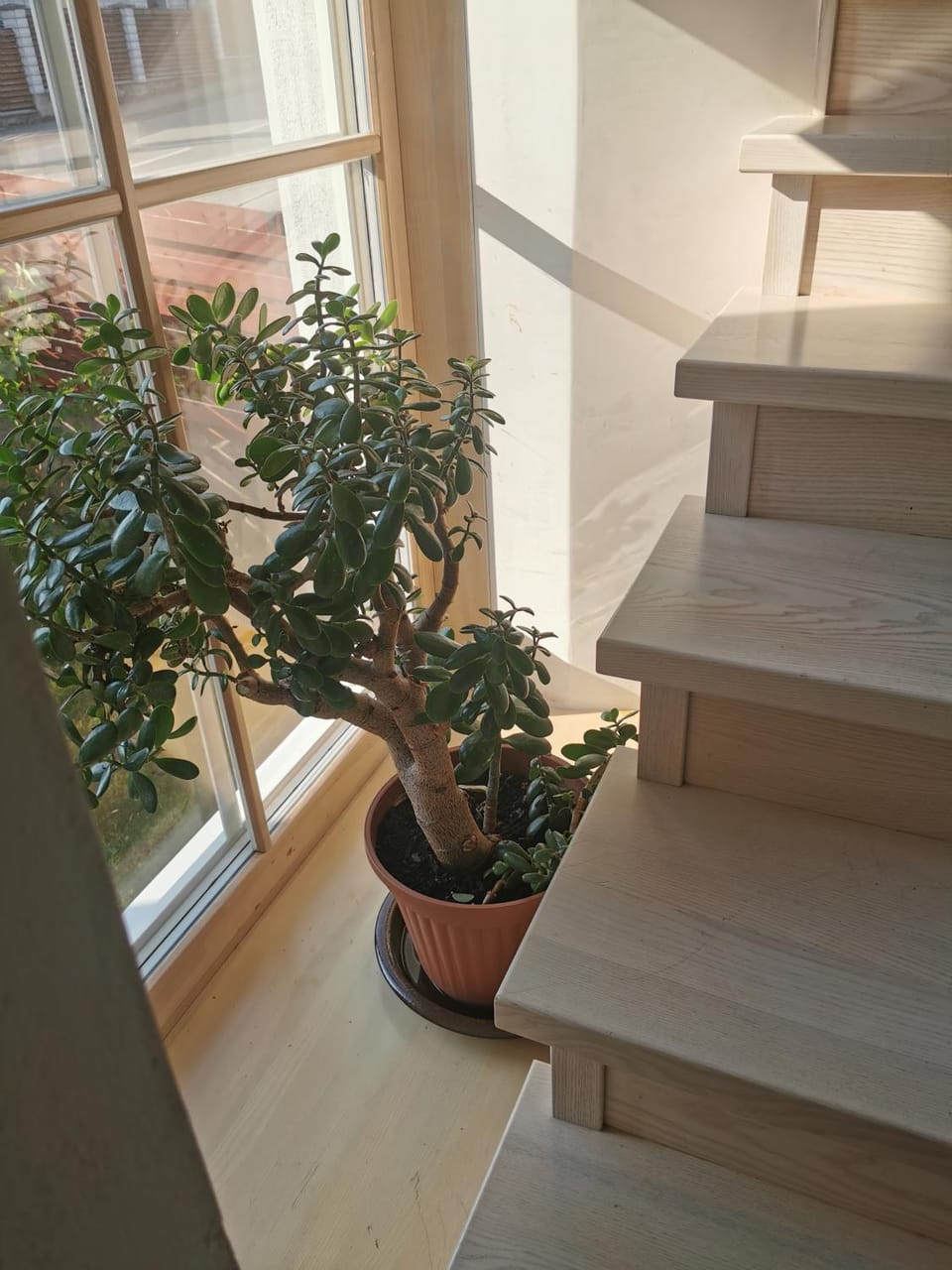 9 min from Palanga! luxury house on the river and sauna House in Klaipėda County, Lithuania