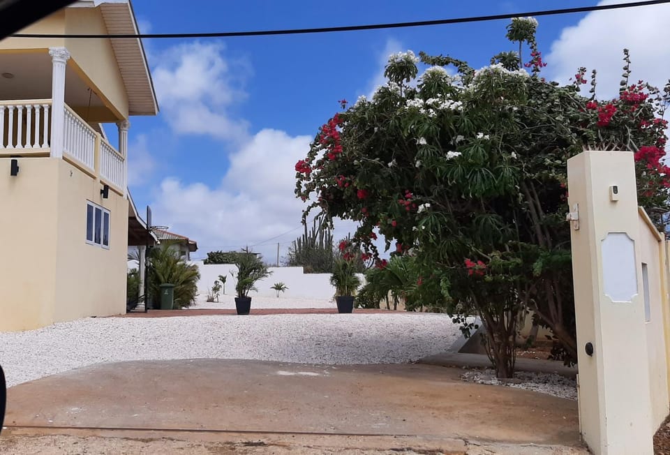 Villa Mila Spacious Family Villa with Private Pool Curaçao Near Jan Thiel and Mambo Beach Villa in Willemstad