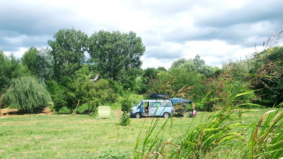 Natural landscape, Garden view