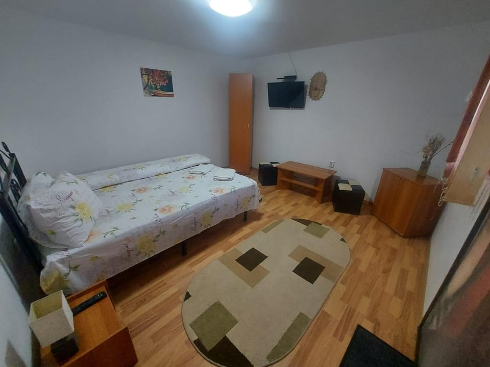 Pensiunea Raluca Bed and Breakfast in Romania