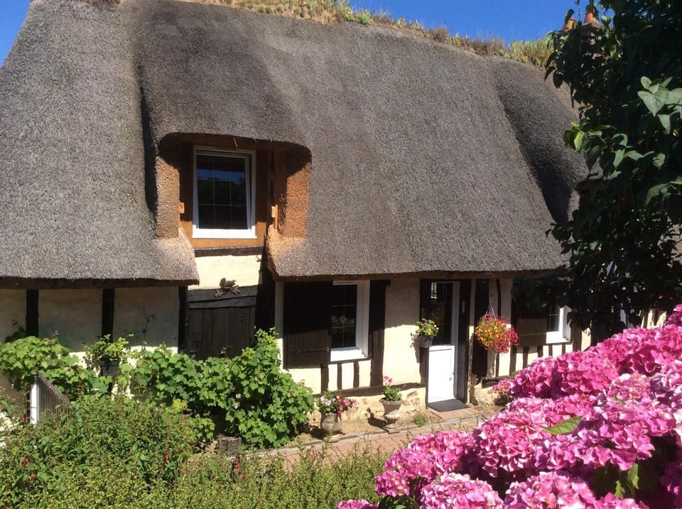 Property building, Spring, Garden, Garden view