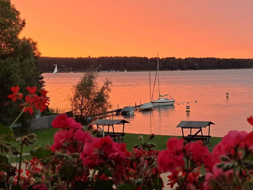 Lake view