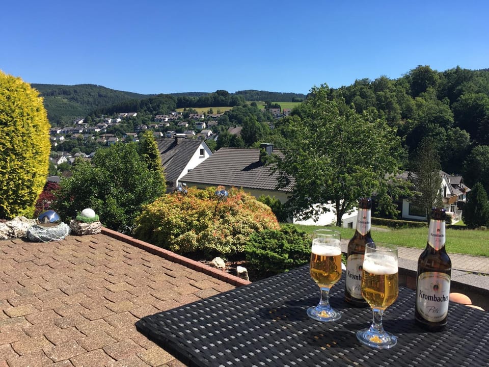 Balcony/Terrace, Mountain view