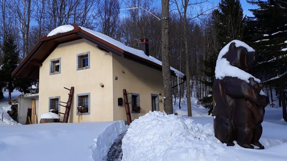 Property building, Natural landscape, Winter