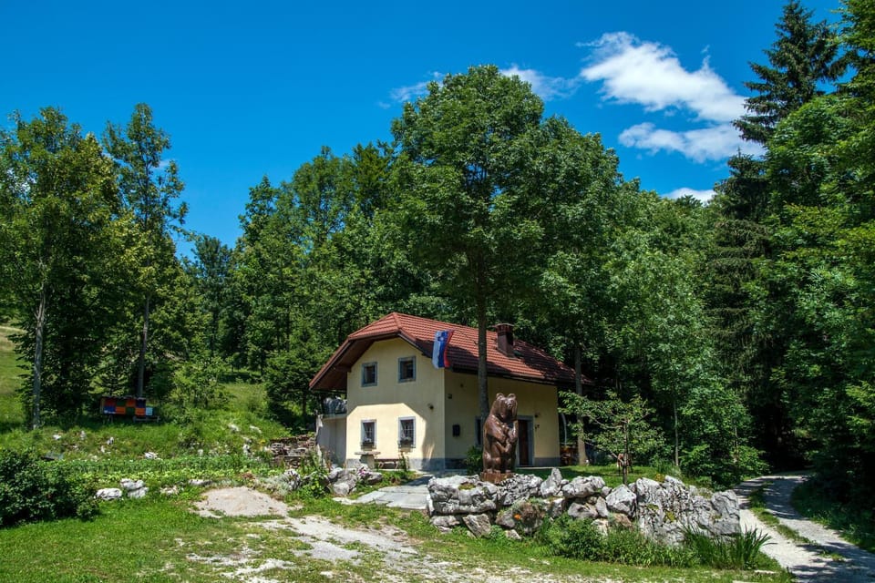 Property building, Day, Natural landscape, Garden, Garden view