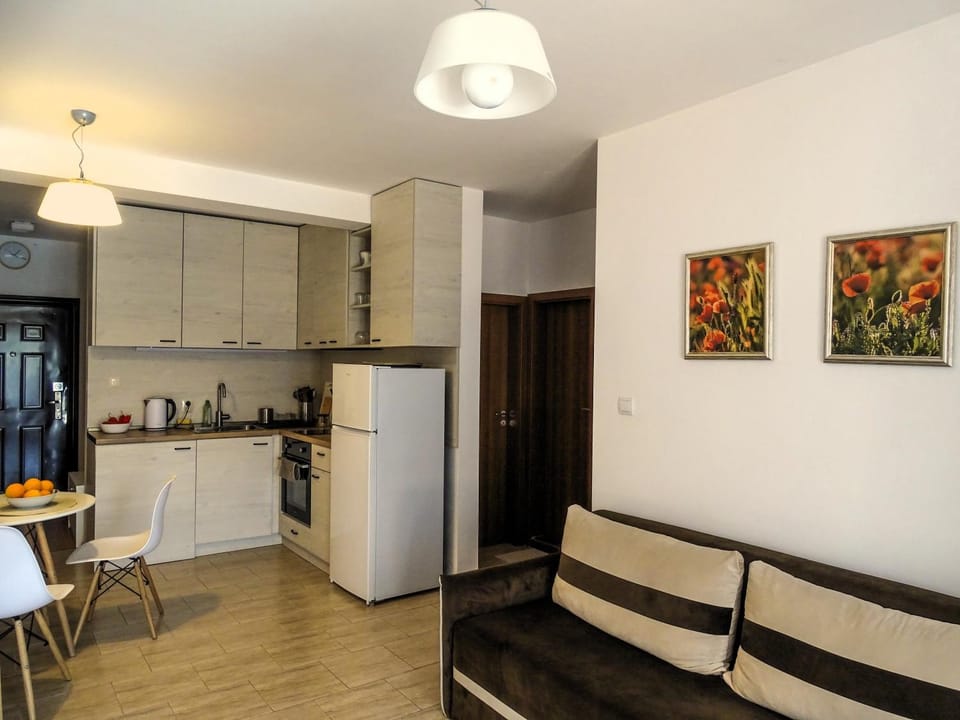 Kitchen or kitchenette, Living room, oven, stove, toaster