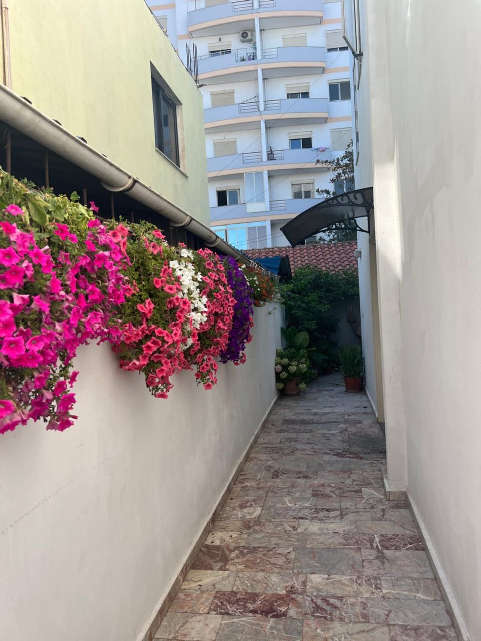 Facade/entrance, Garden