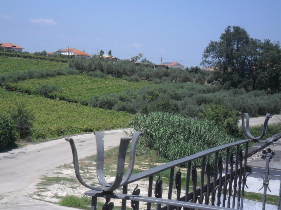 Natural landscape, Balcony/Terrace