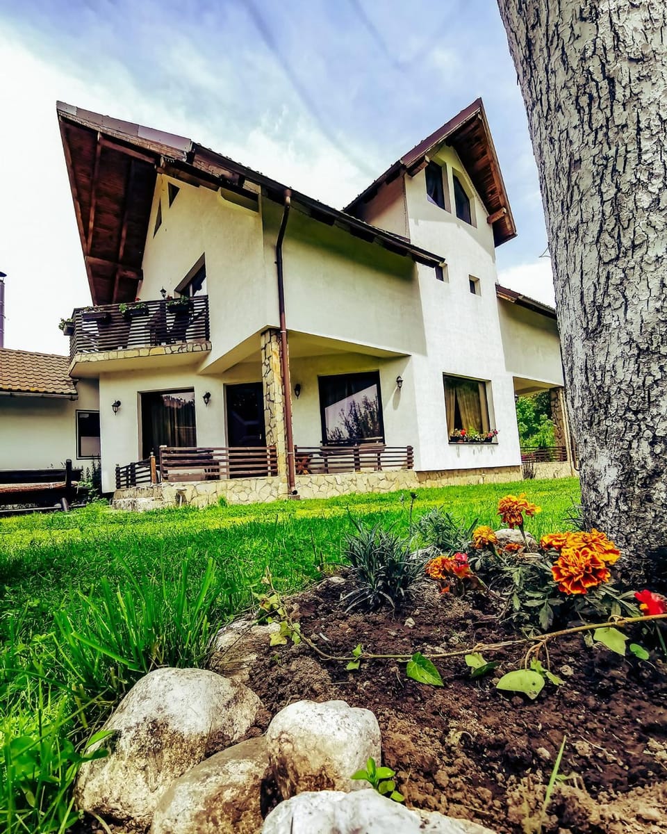 Bucuria Muntelui Vacation rental in Brașov County