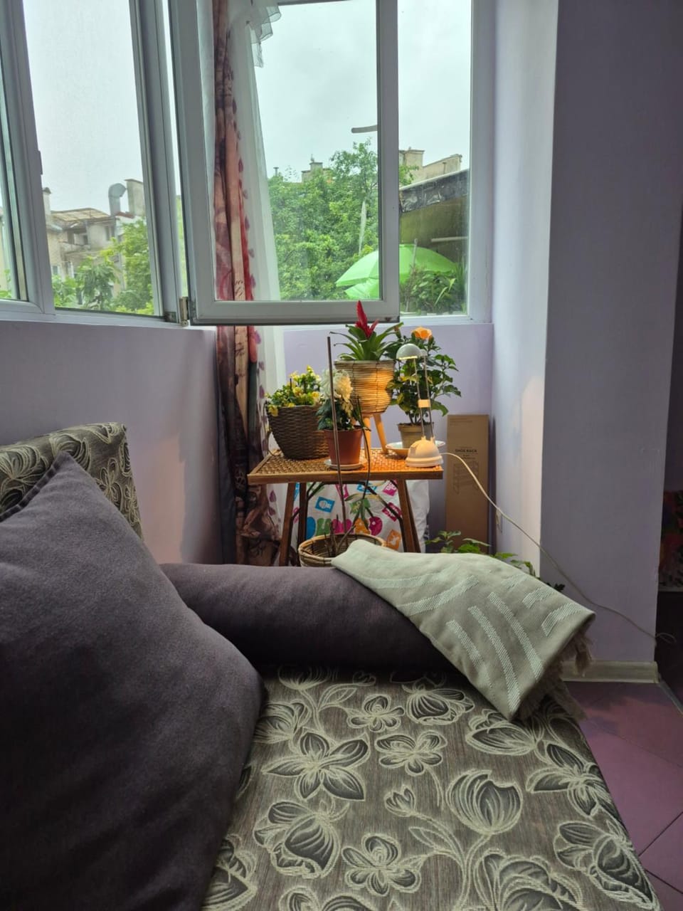 View (from property/room), Living room, Photo of the whole room, Seating area