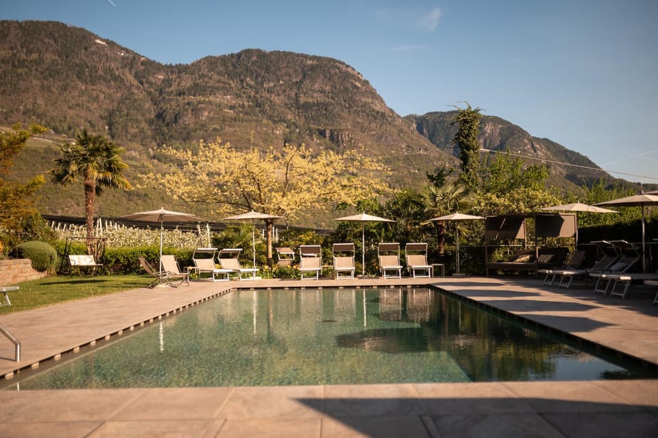 Natural landscape, Swimming pool, sunbed