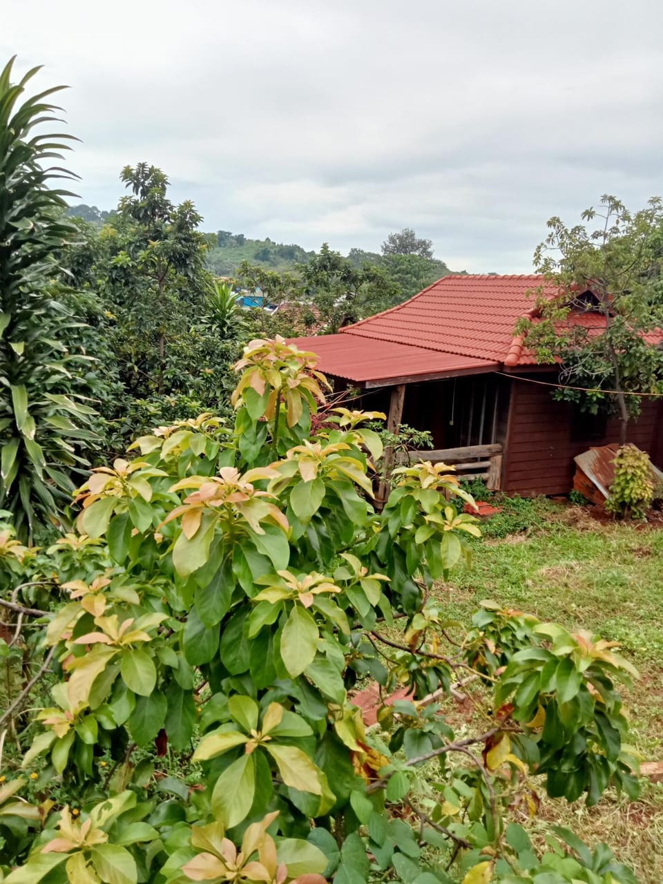 Ratanak Tep Rithea homestay Vacation rental in Cambodia