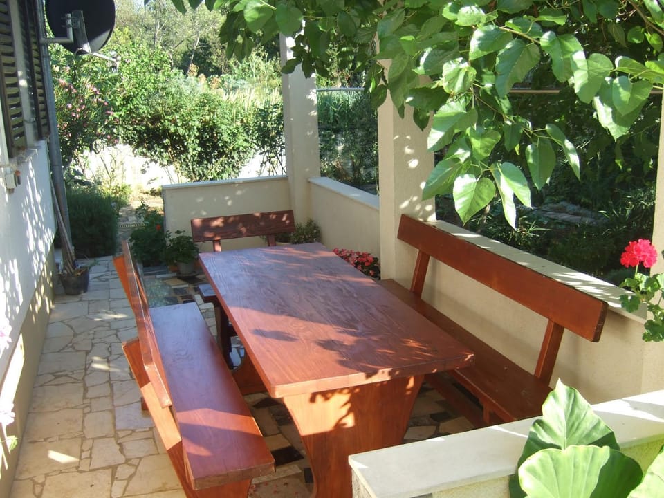 Spring, Garden