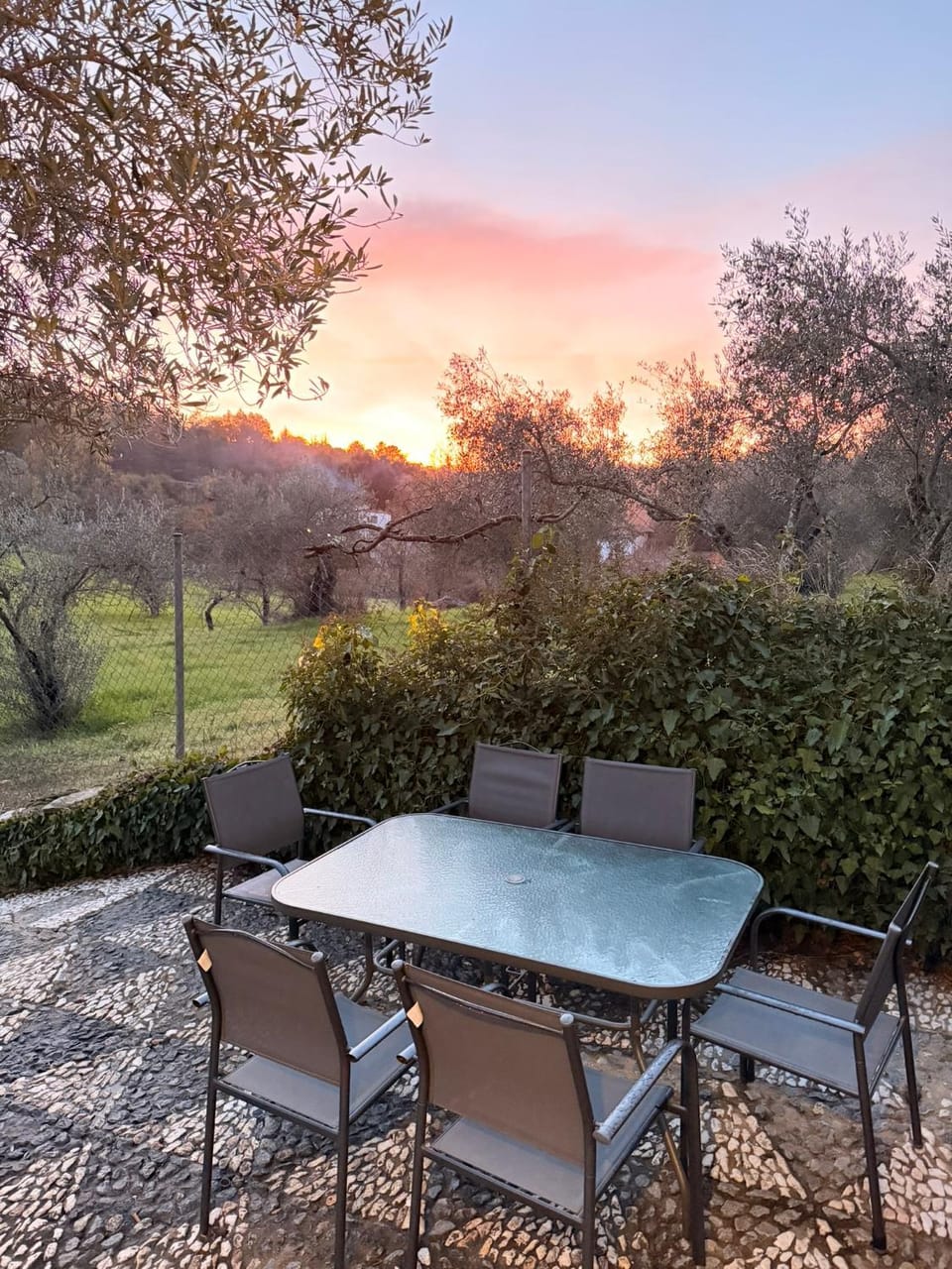 Patio, Garden, Garden view, Sunset