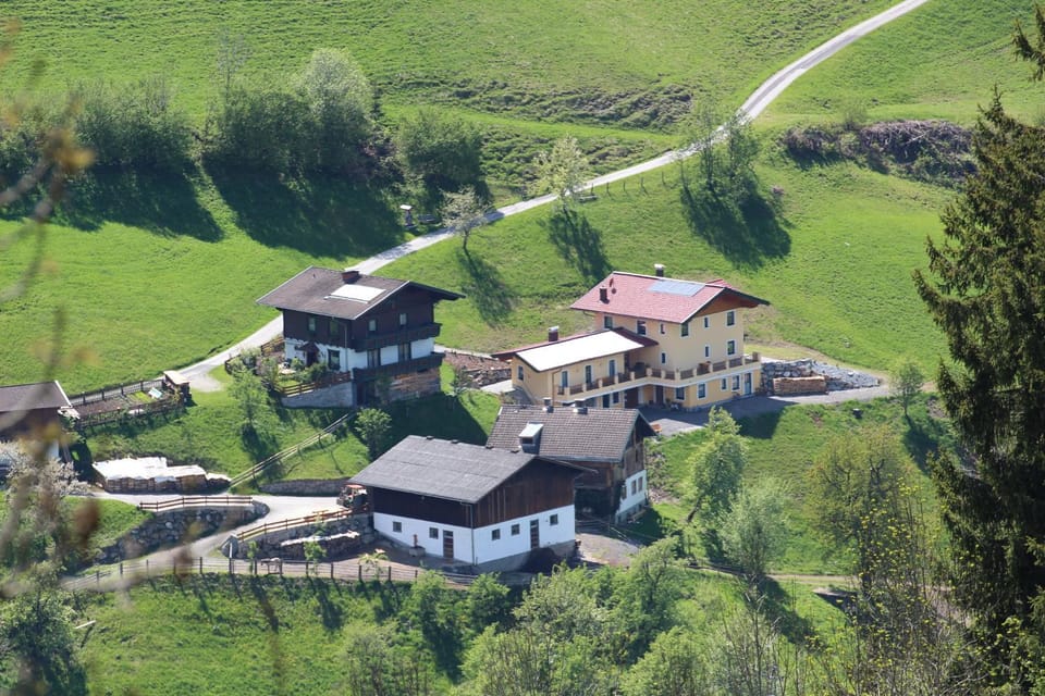 Holzlehenhof Apartment in Salzburgerland