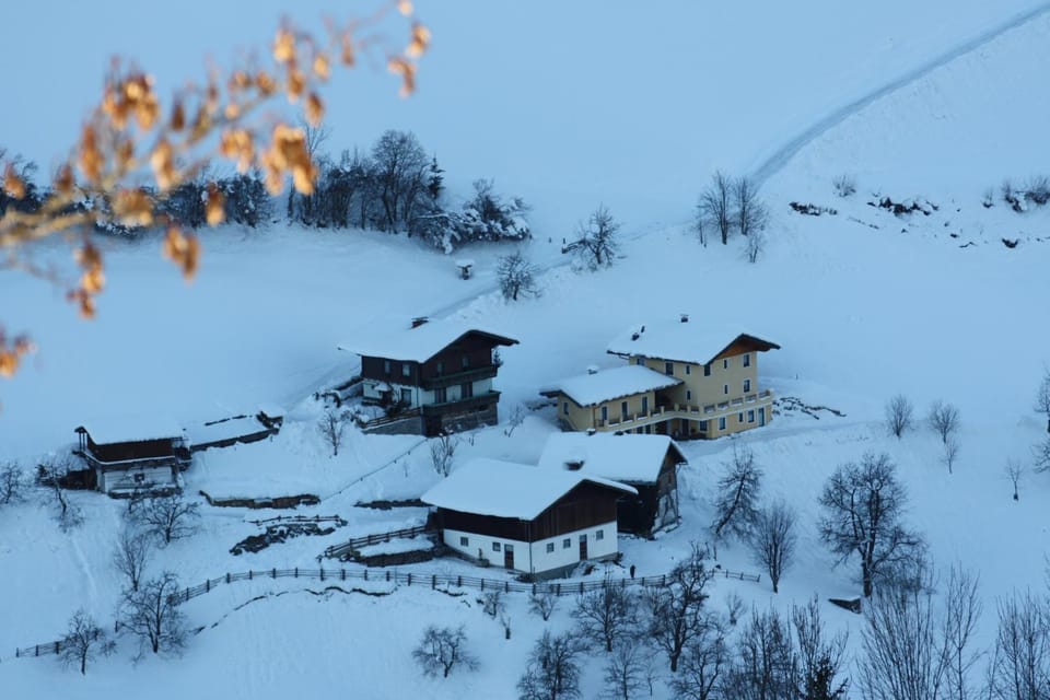 Holzlehenhof Apartment in Salzburgerland