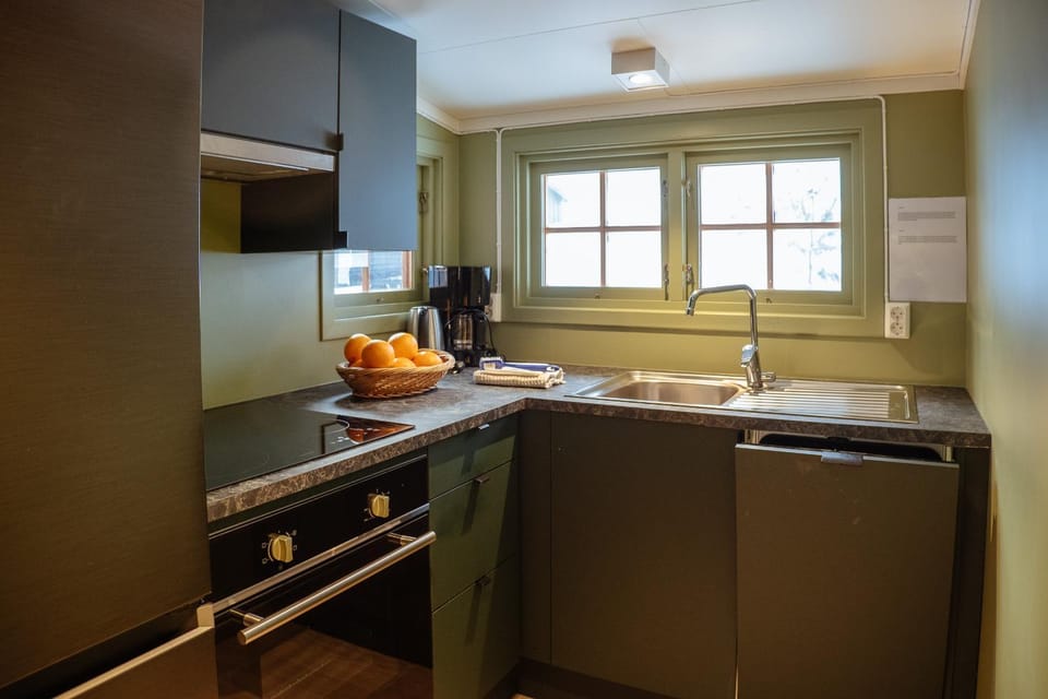 Kitchen or kitchenette, kitchen