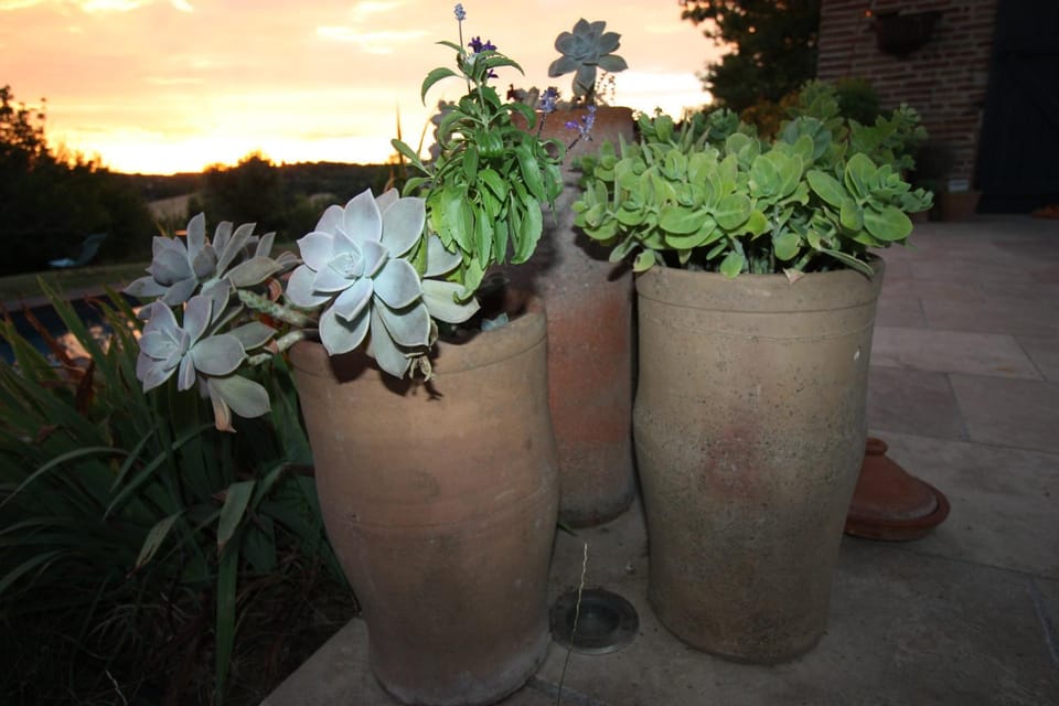 Chambre d'hotes de Jacobiel Bed and Breakfast in Occitanie