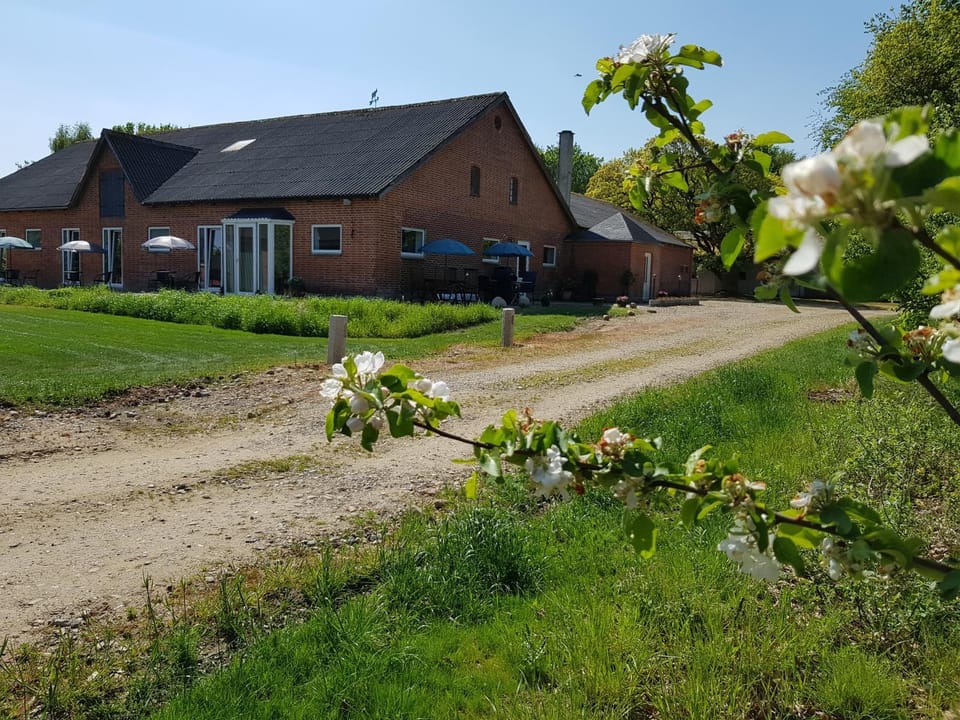 Property building, Garden
