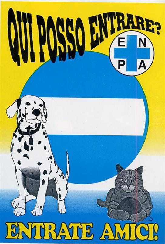 Pets
