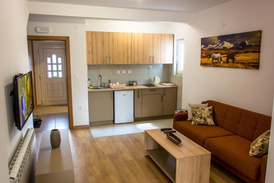 TV and multimedia, Coffee/tea facilities, Kitchen or kitchenette, Living room, Seating area
