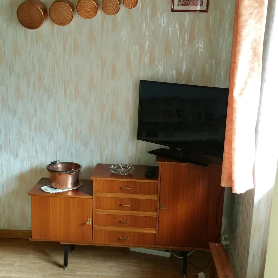 TV and multimedia