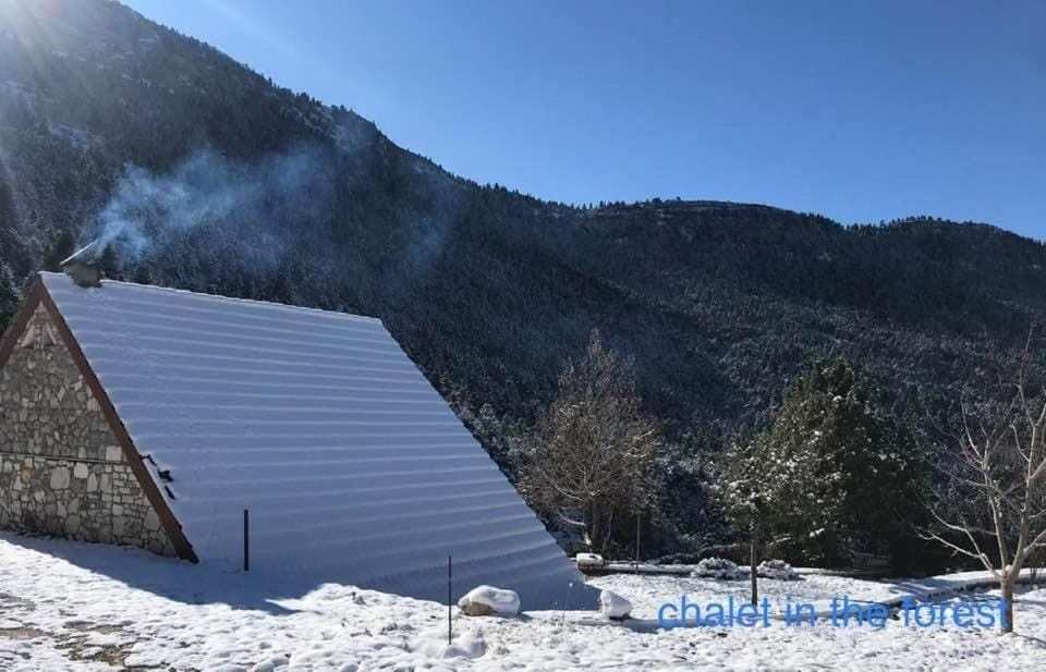 Property building, Winter