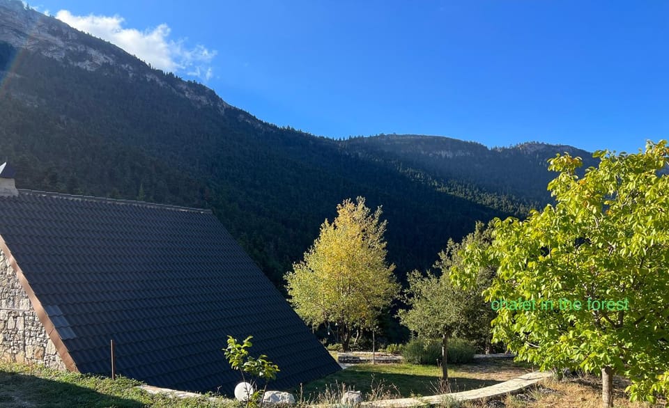 Chalet in the Forest Nature lodge in Peloponnese Region