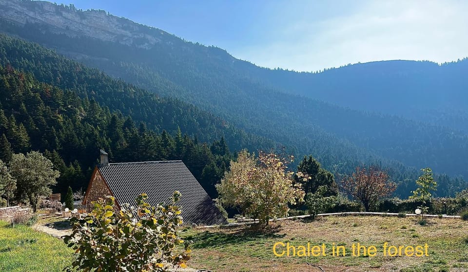 Chalet in the Forest Nature lodge in Peloponnese Region
