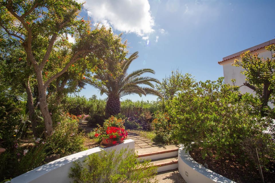 Day, Garden, Garden view