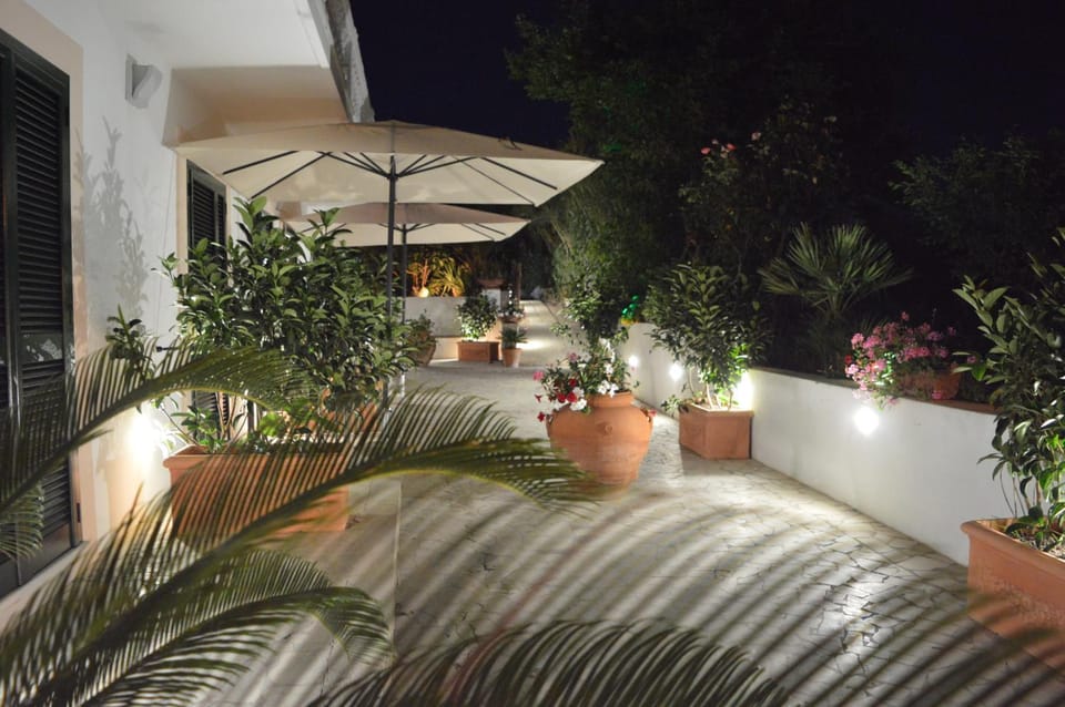 Night, Garden