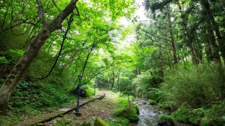 Off site, Natural landscape