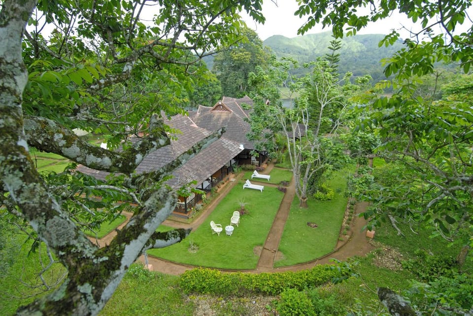 Bird's eye view, Garden view