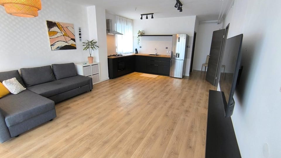 Living room, kitchen
