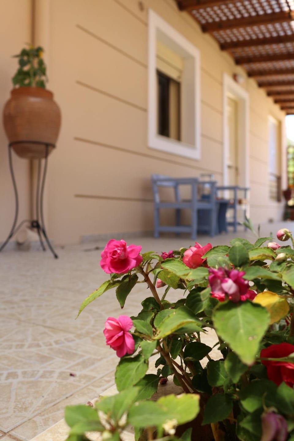 Garden view, Inner courtyard view